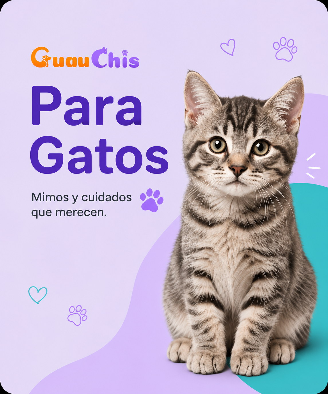 Gatos